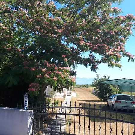 Nevenka